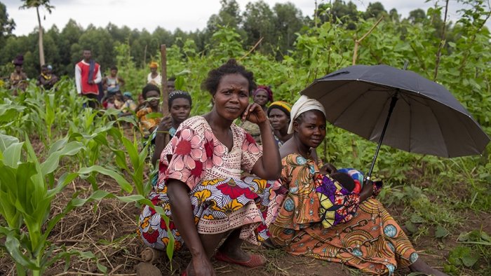 Humanitäre Hilfe im Kongo: Nahrung als Existenzsicherung zur Unterstützung verletzlicher Bevölkerungsgruppen