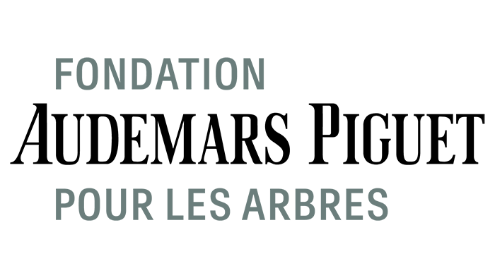 Logo Fondation Audemars Piquet