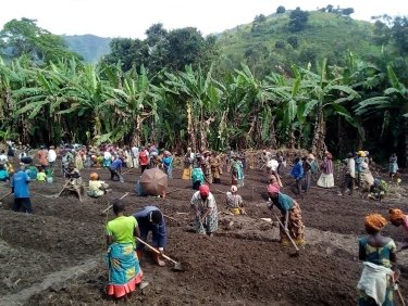 Humanitäre Hilfe Kongo: Aussaat