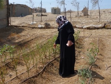 Ein Garten als Tor zu Aussenwelt - Hilfe im Negev
