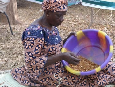 Frauen sichern ihre lokalen Gemüse- und Getreidesorten