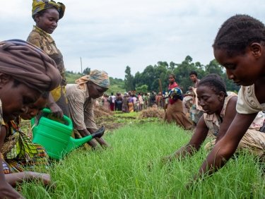 Frauen bewässern Gras_788.404_DRKongo