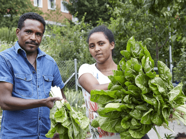 Zwei Menschen stehen im Garten und zeigen ihre Salaternte