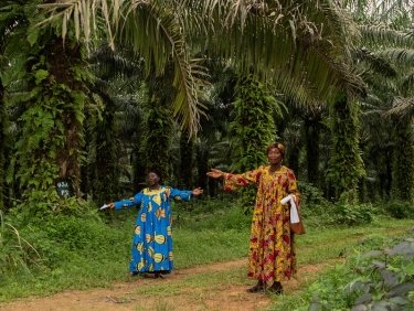 Zwei Frauen im Dorf Déhané in Kamerun zeigen, wie die Ölpalmen einer Plantage sehr nah an ihren Häusern wachsen und sie immer weniger Land haben. Sie organisieren sich dagegen. 