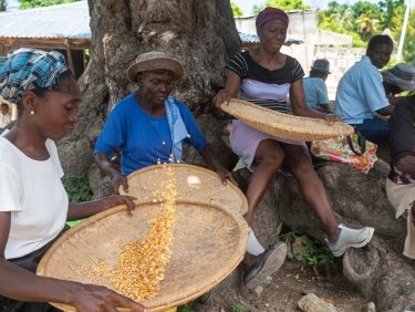 Haiti, Semenciers Duranton