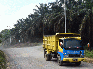 Ökologische und gerechte Palmölproduktion