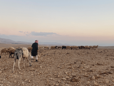 Ein Hirte führt seine Schafe und seinen Esel durch eine karge Landschaft.