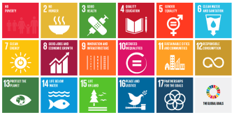 Ziele der nachhaltigen Entwicklung