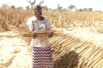 HEKS hilft Frauen in Niger gegen die Dürre und den Hunger