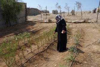 Ein Garten für Frauen - Hilfe im Negev