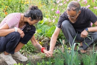 HEKS Neue Gärten: Zwei Menschen pflanzen in einem Garten etwas an