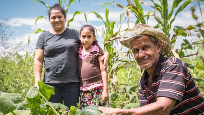 Bauernfamilien testen Saatgut in Honduras