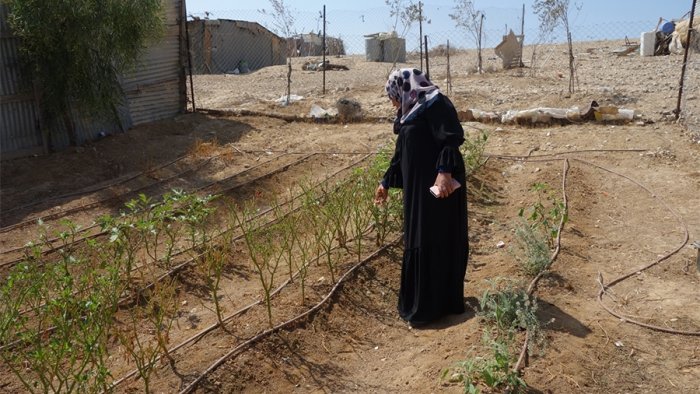 Ein Garten für Frauen - Hilfe im Negev