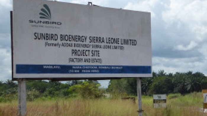 Firmenschild auf einem Feld in Sierra Leone