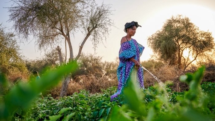 Patenschaft Kleinbauernfamilien Senegal