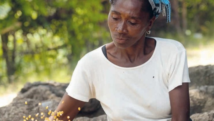 Titel des Projekthefts - Eine Frau bearbeitet Mais